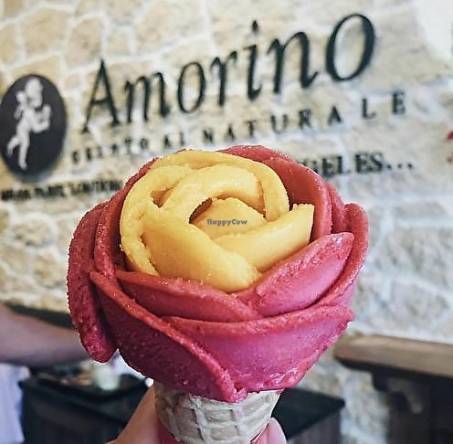 Restaurants Amorino Gelato and Cafe