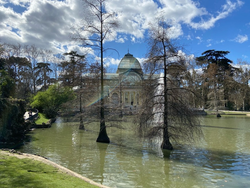 Lugar Palacio de Cristal