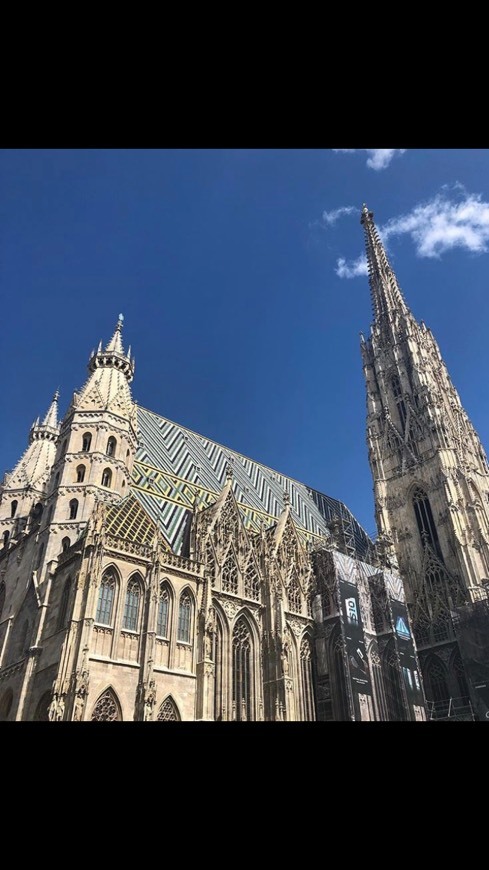 Lugar Catedral de Viena