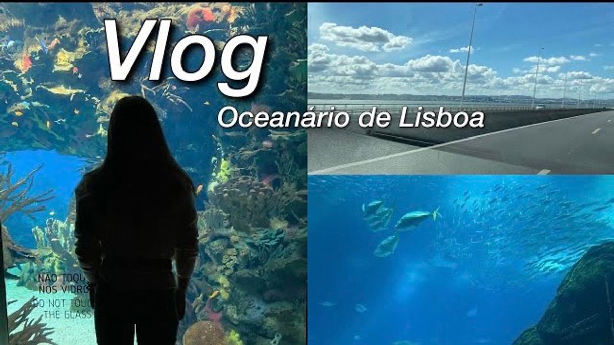 Moda VLOG: Oceanário de Lisboa | Bella Mariaa - YouTube