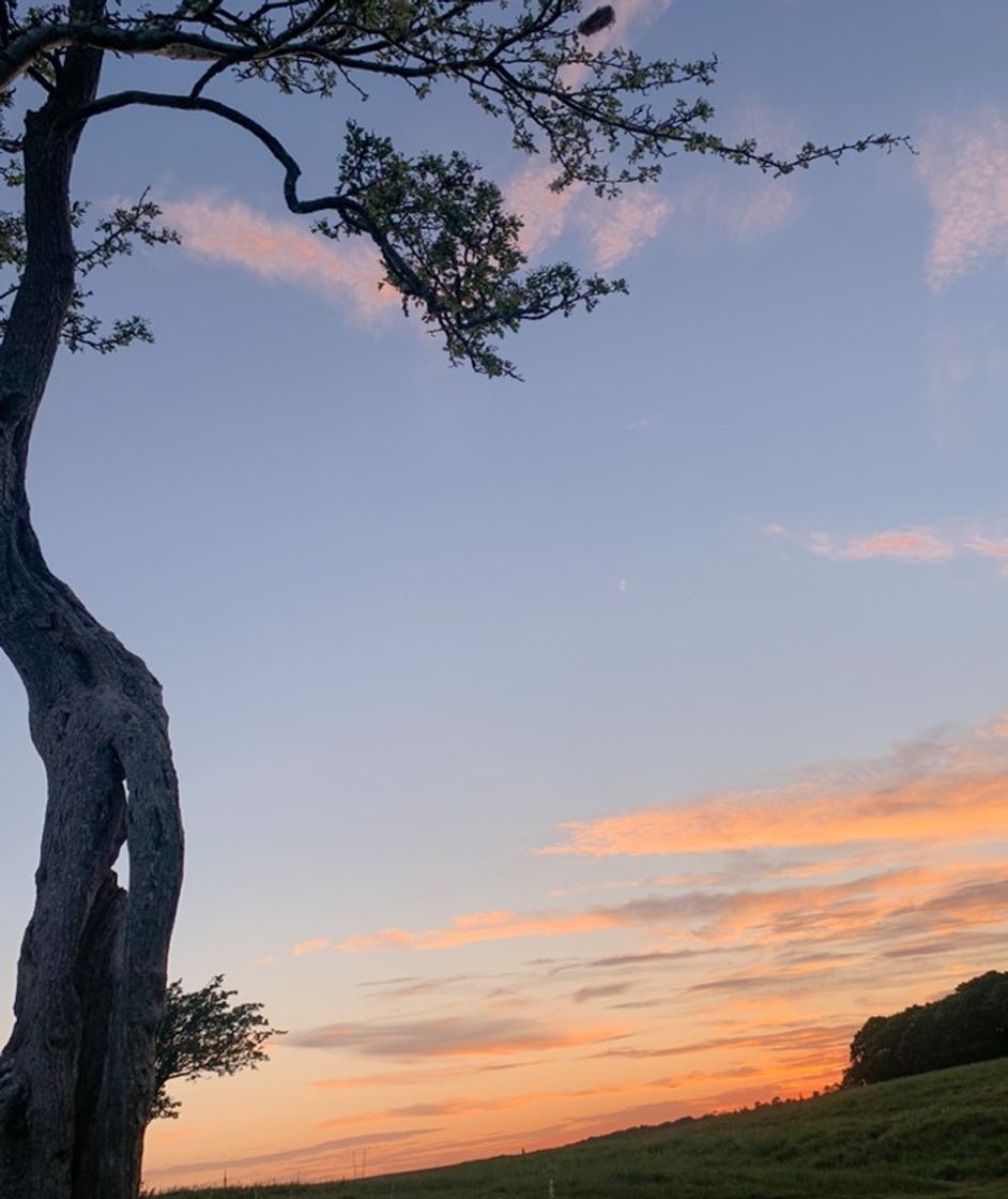 Place Phoenix Park