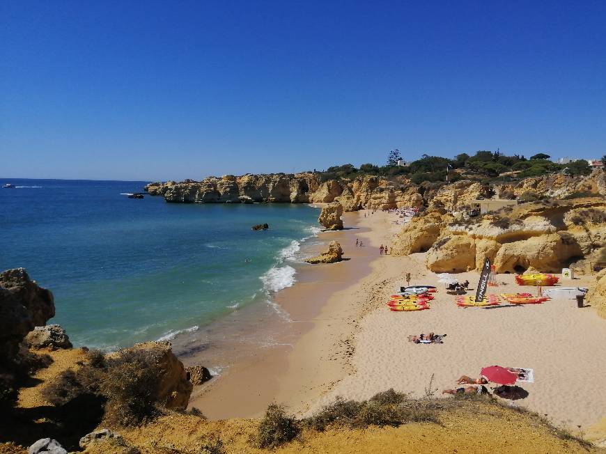 Faro