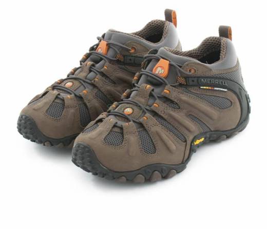 Merrell chameleon