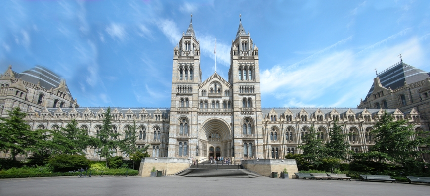 Lugar Natural History Museum