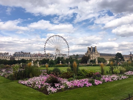 Jardin des Tuileries