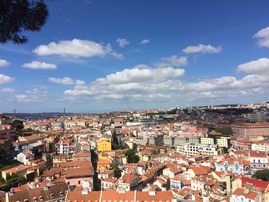 Place Miradouro Sophia de Mello Breyner Andresen