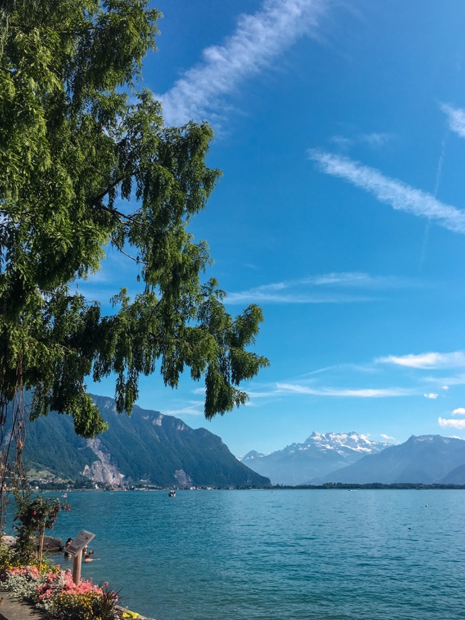 Place Montreux