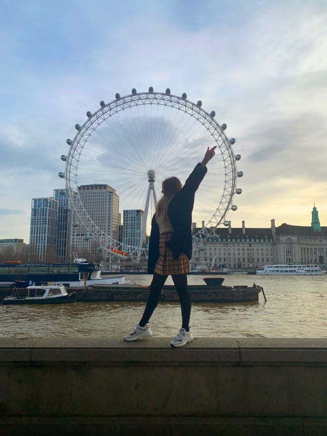 Place London Eye