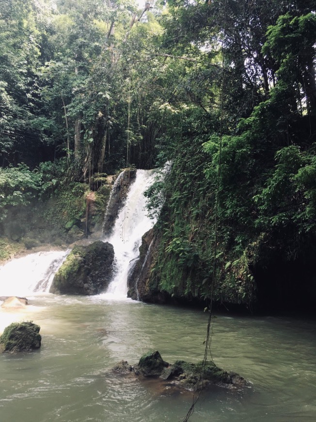 Lugar YS Falls