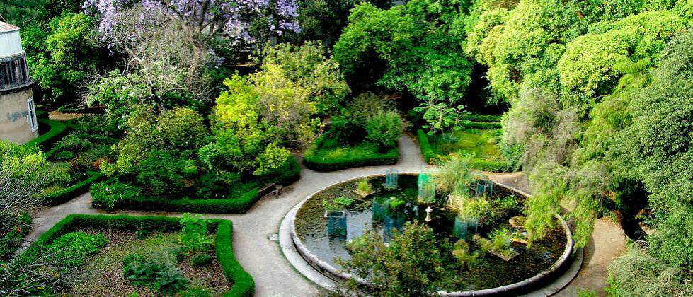 Lugar Jardín Botánico de la Universidad de Lisboa