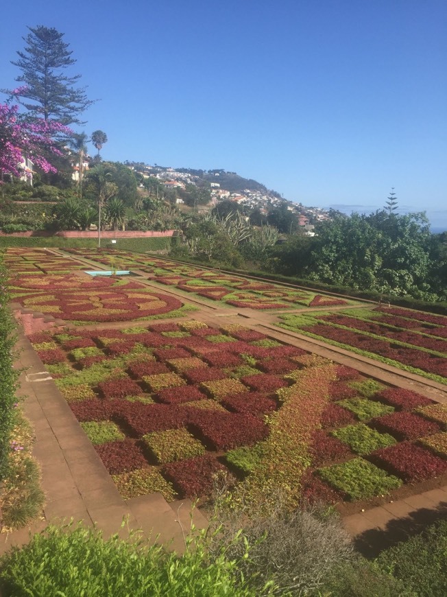 Lugar Jardín Botánico de Madeira