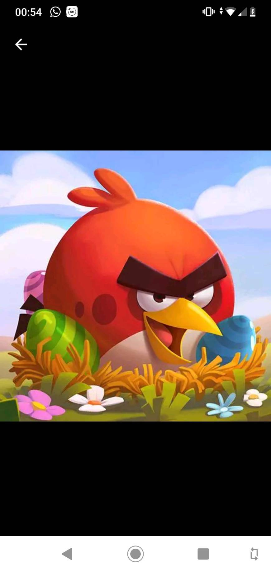 Fashion Angry birds