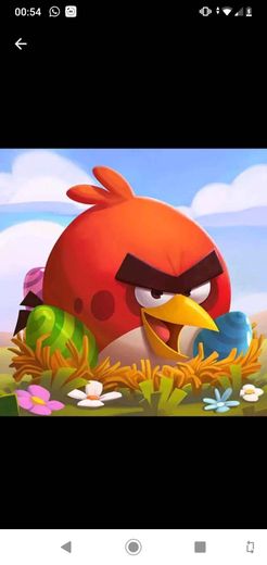 Angry birds