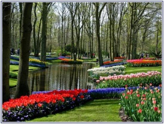 Lugar Keukenhof HOLLAND