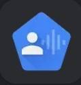 App Google Voice