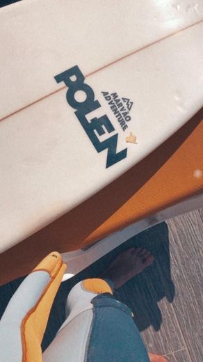 POLEN SURFBOARDS 