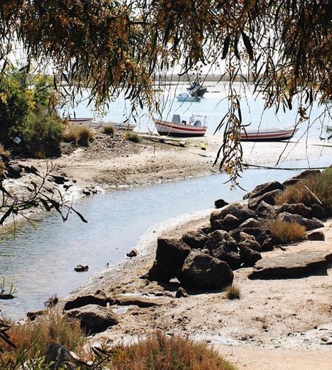 Cabanas de Tavira