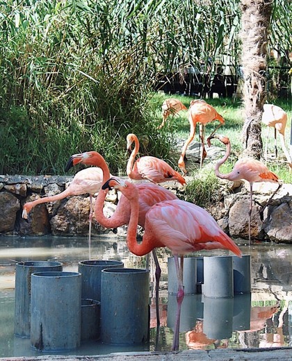 Jardim Zoológico de Lisboa