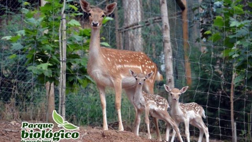 Lugares Parque Biológico Serra da Lousã