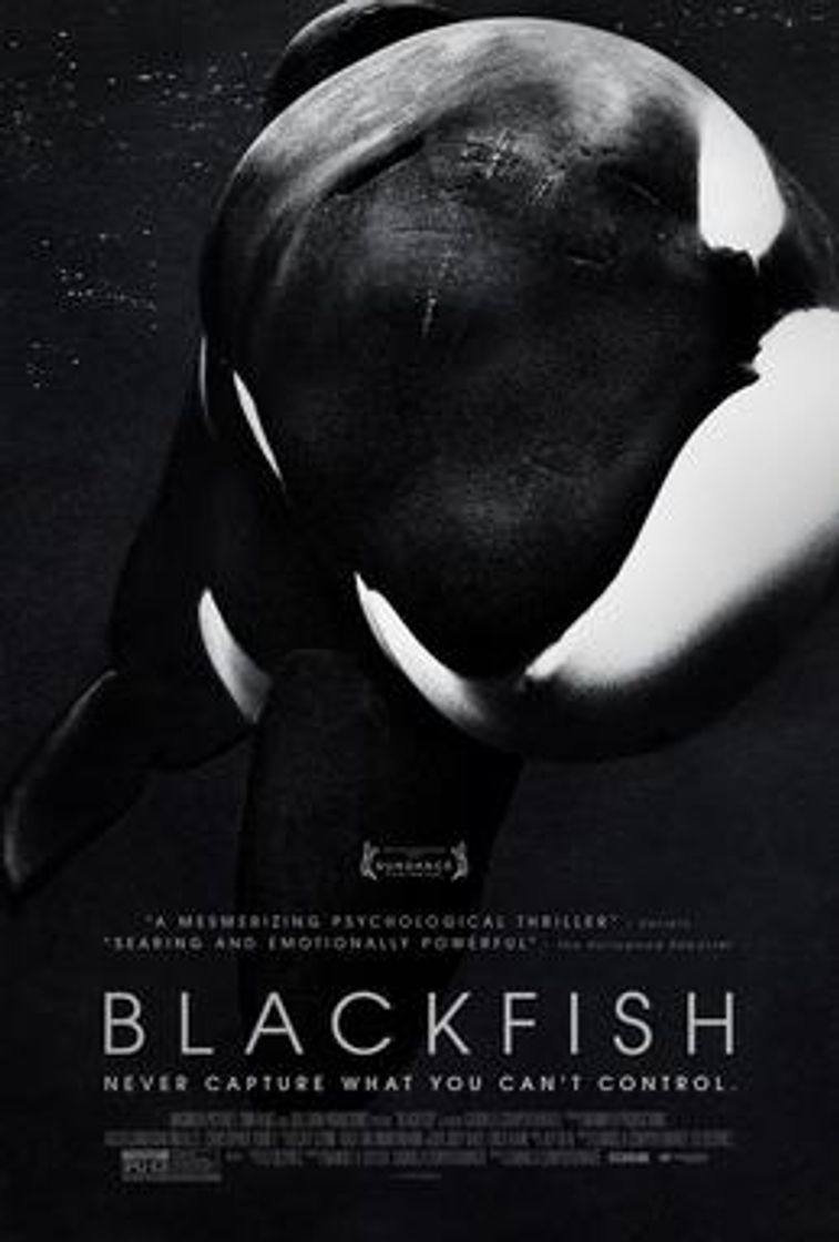 Películas Blackfish