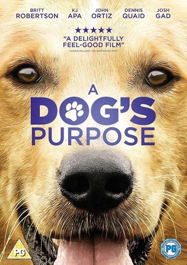 A Dog's Purpose 