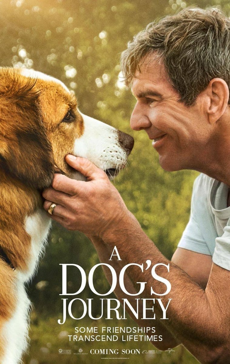 Movies A Dog's Journey 