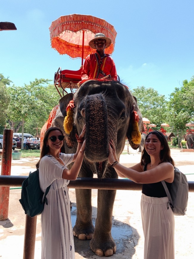 Place Ayutthaya Elephant Palace & Royal Kraal