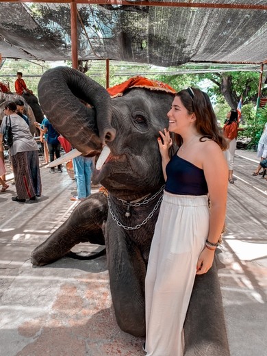 Ayutthaya elephant riding