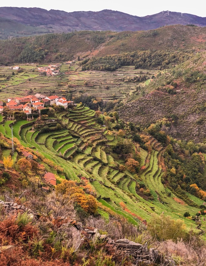 Lugar Miradouro dos Socalcos