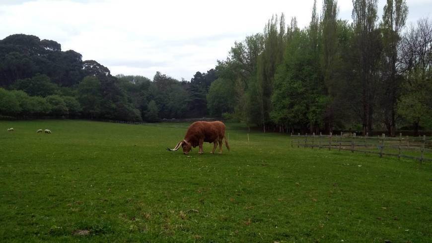 Place Parque de Serralves