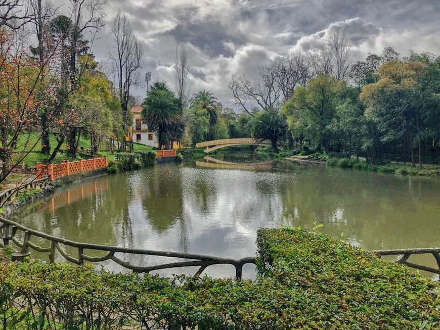 Lugar Parque Dom Pedro Infante - City Park