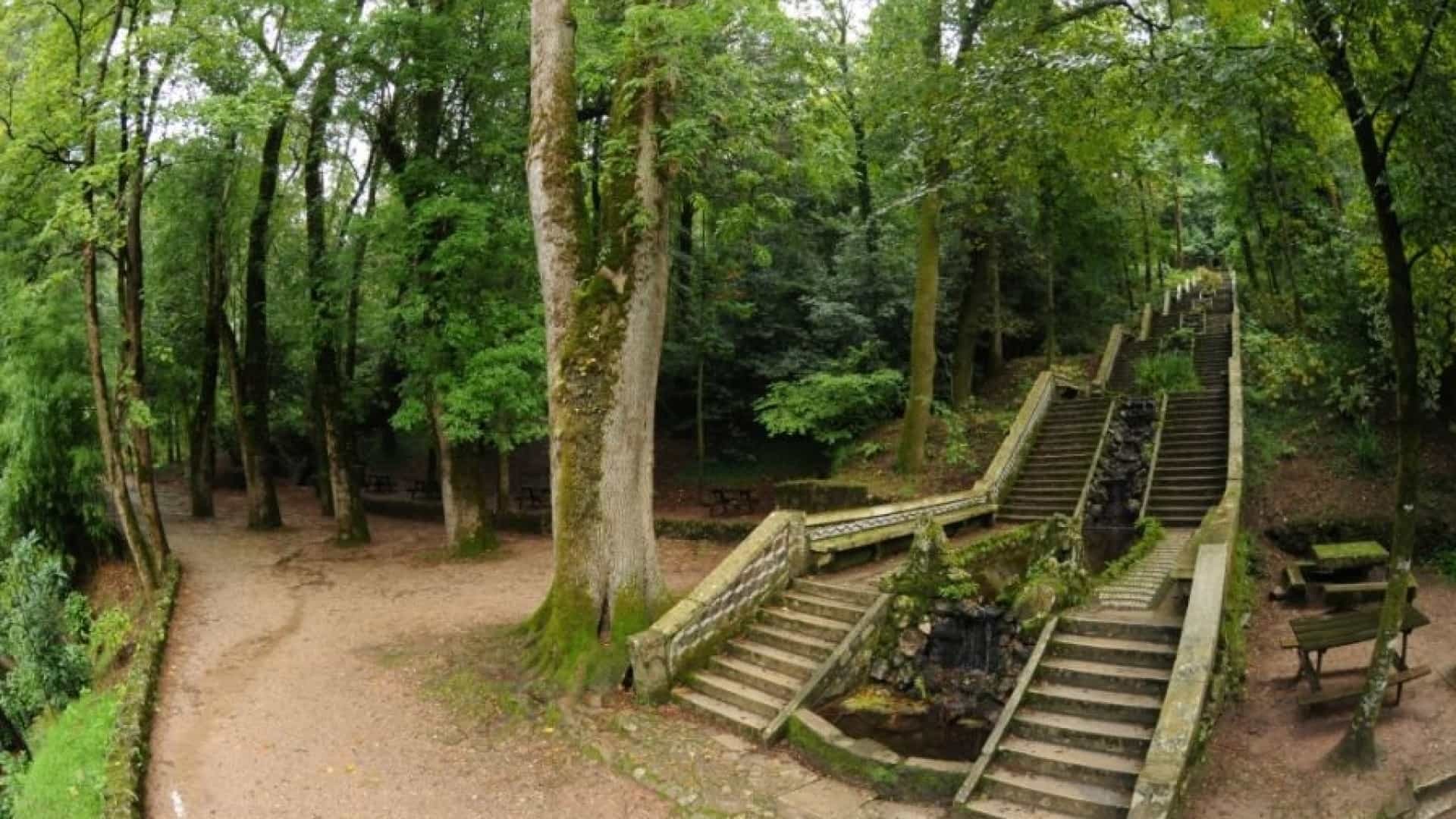 Place Fundação Mata do Bussaco