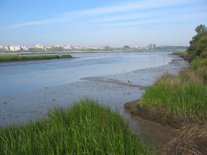 Río Boco