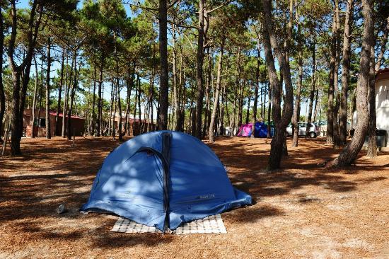 Lugar Ericeira Camping