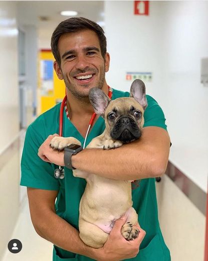 André Santos - veterinário do restelo 