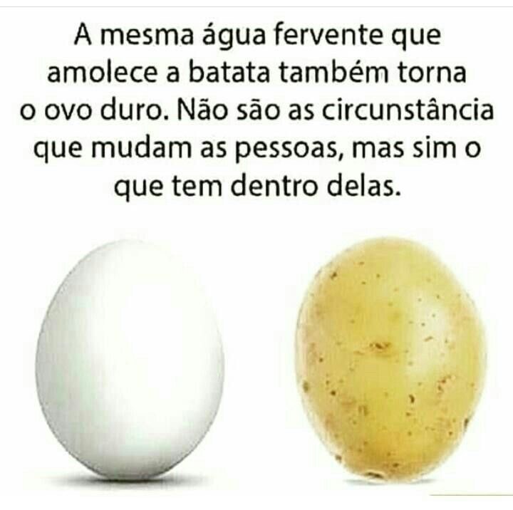 Fashion Frase motivação 