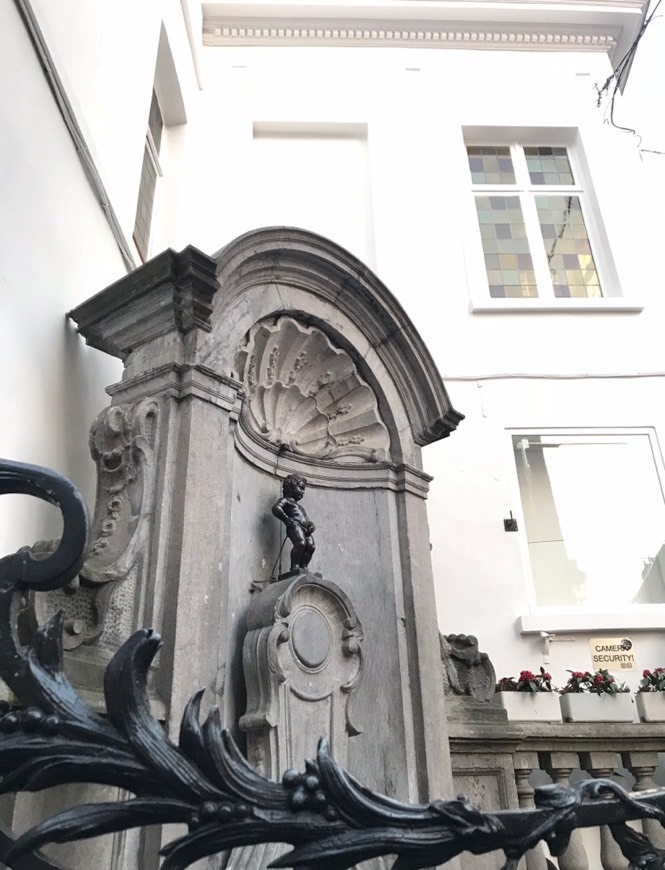 Place Manneken Pis