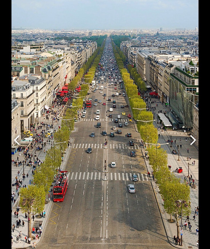 Place Champs Elysees