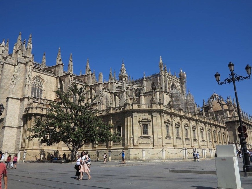 Lugar Catedral de Sevilla