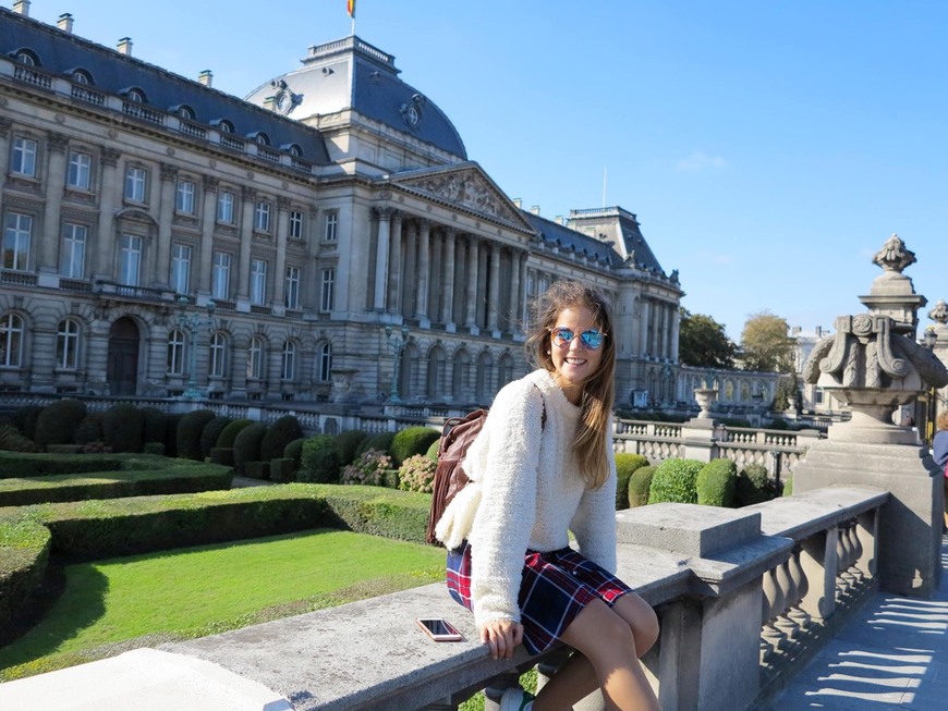 Lugar Palacio Real de Bruselas