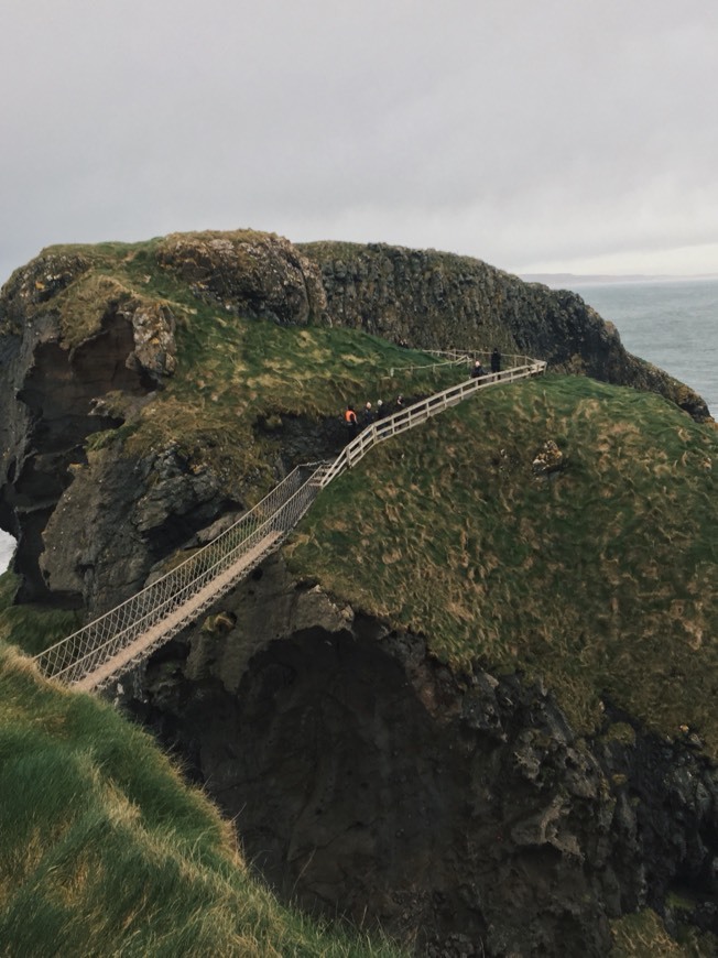 Place Carrick-a-rede rope bridge