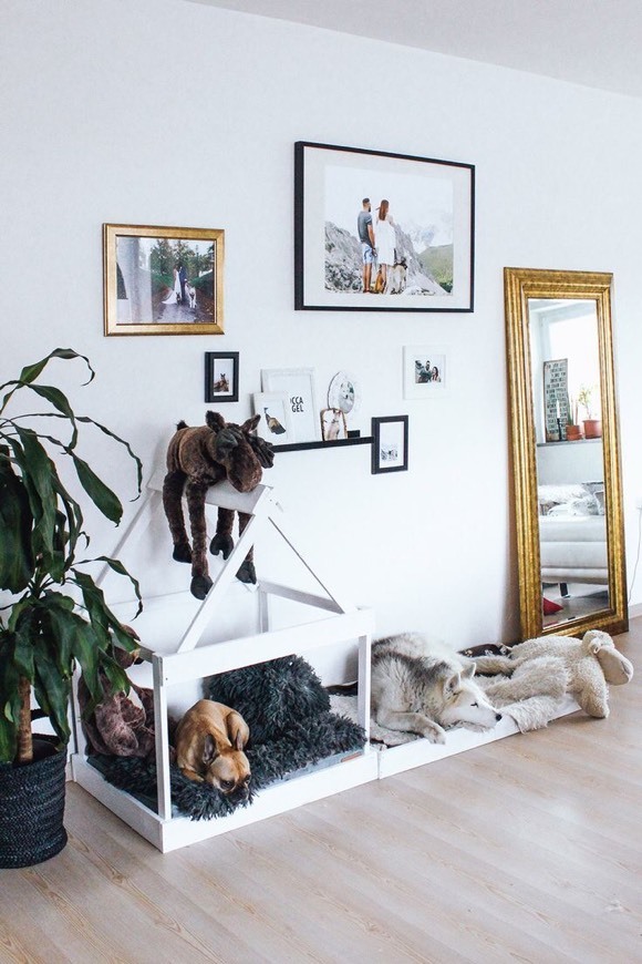 Fashion Home is where your dogs are.