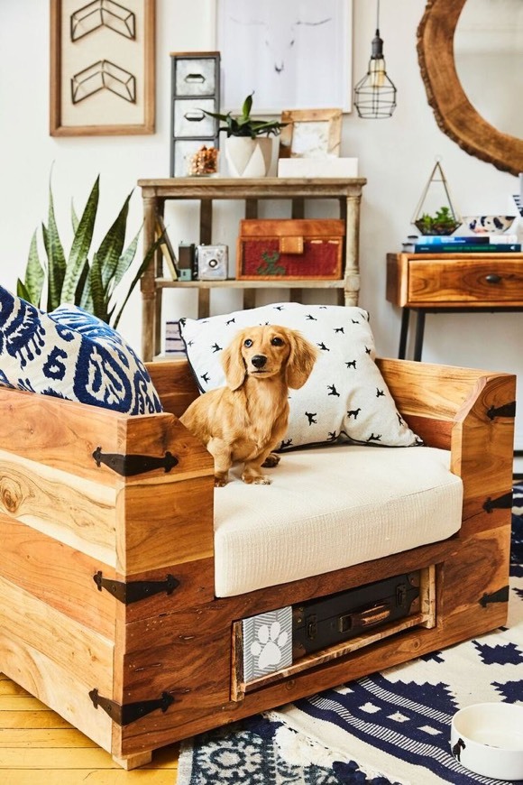 Moda Give your dog a decor upgrade.