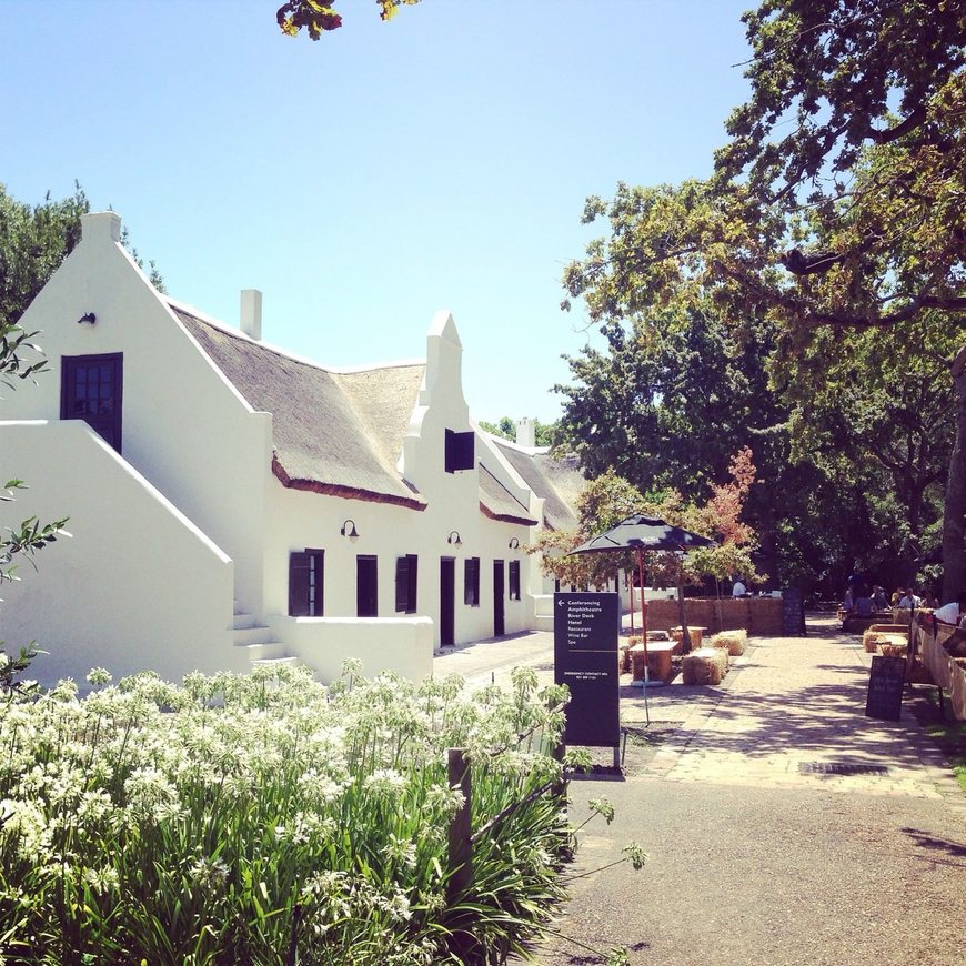 Place Spier Wine Farm