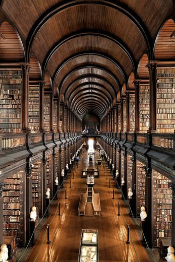 Trinity College Dublin, the University of Dublin