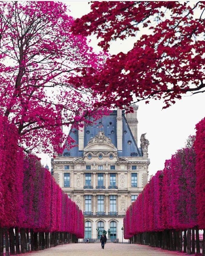 Place Jardin des Tuileries