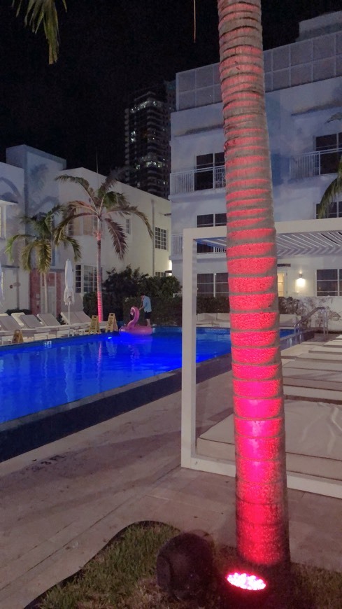 Lugar Pestana Miami South Beach