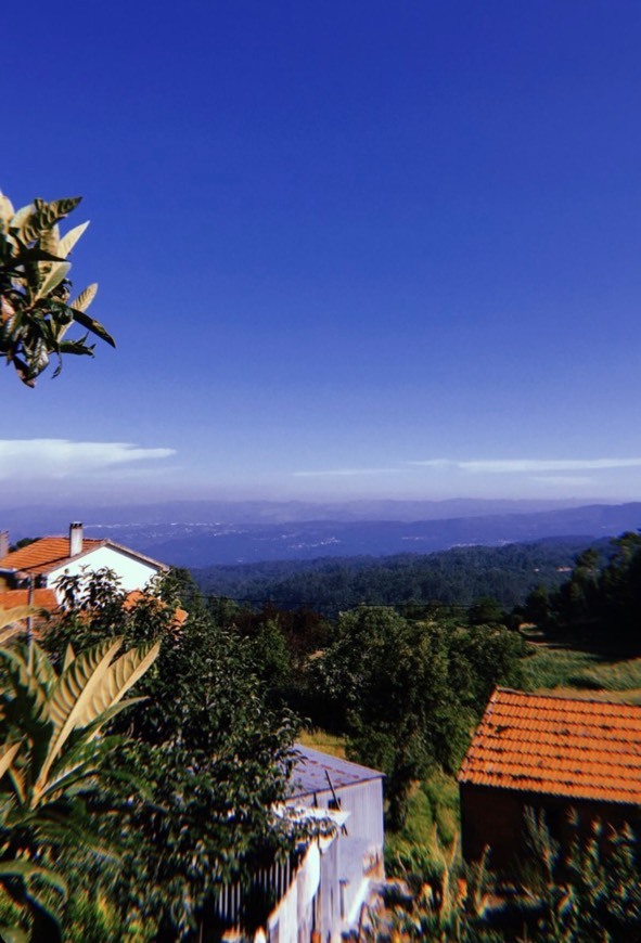 Junqueira