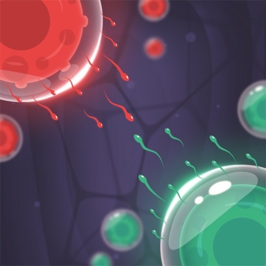 Cell Expansion War