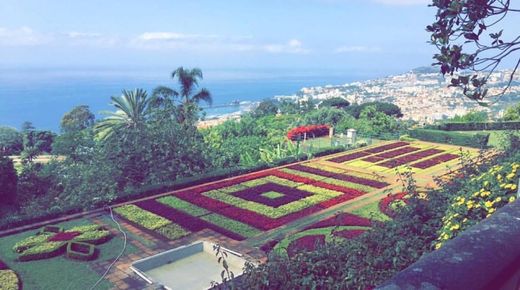 Jardín Botánico de Madeira